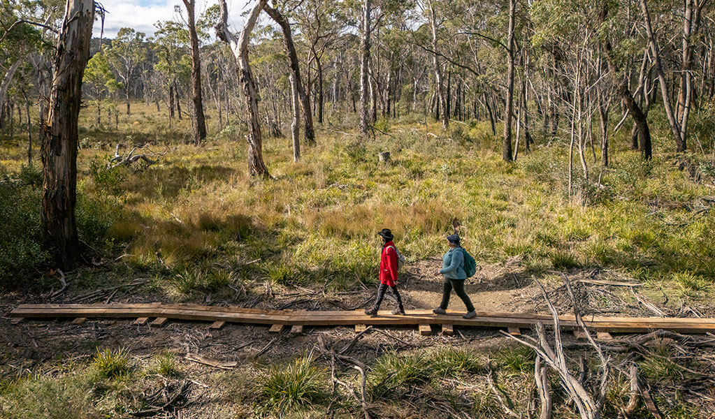 2 people walking on a bog bridge on Broad Swamp loop walk in Gardens of Stone State Conservation Area. Credit: John Spencer &copy; DCCEEW