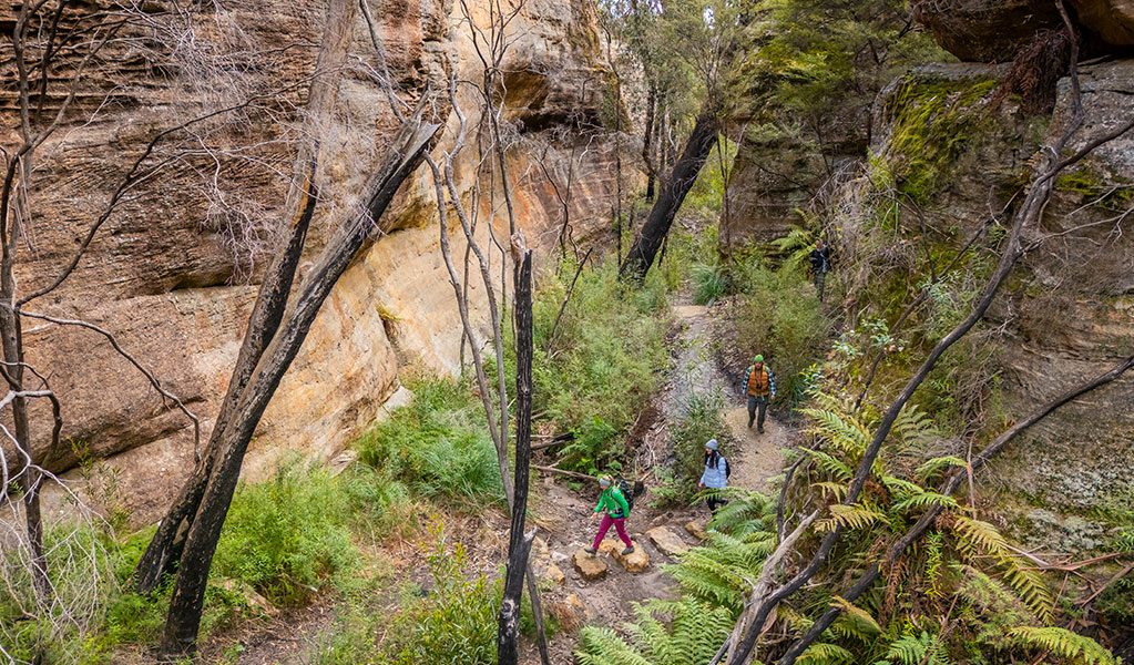 3 hikers walking through a gully on Broad Swamp to Birds Rock walking track in Gardens of Stone State Conservation Area. Credit: John Spencer &copy; DCCEEW