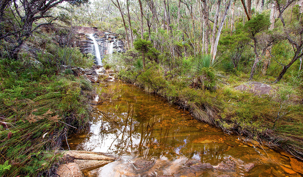 Duffer Creek and Boundary Falls in the background. Credit: Robert Cleary &copy; DCCEEW