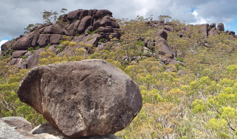 Dandahra Crags walking track, Gibraltar Range National Park. Photo &copy; Rob Cleary