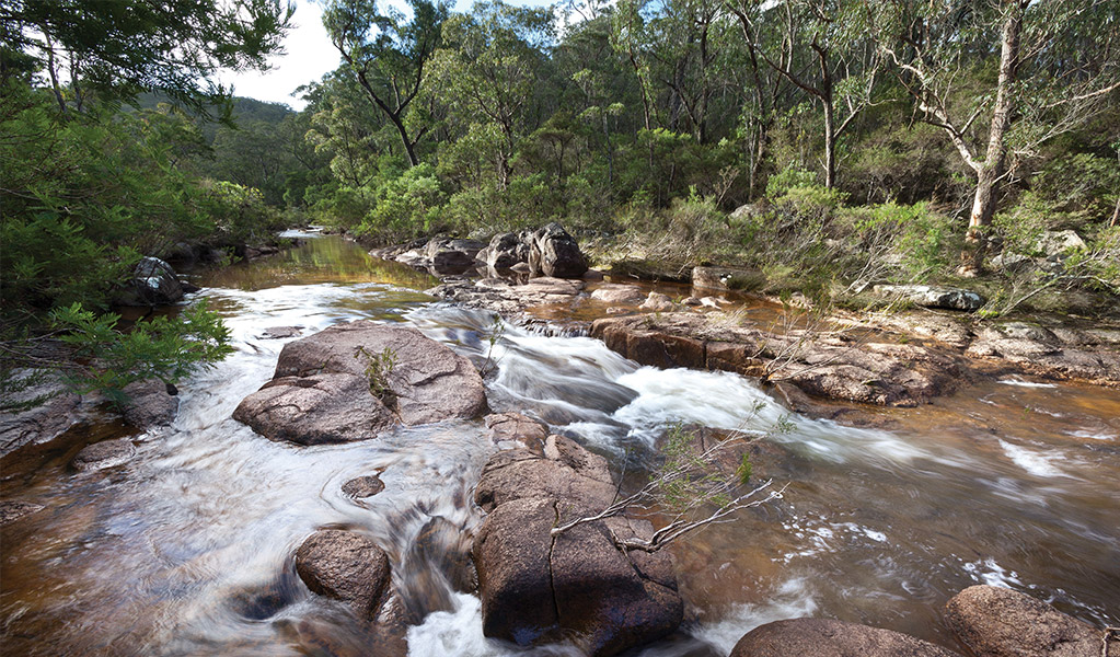 Little Dandahra Creek. Photo: Robert Cleary &copy; DCCEEW