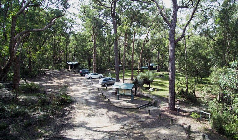 Car park and picnic areas, Mulligans campground, Gibraltar Range National Park. Photo: D Hayden/OEH