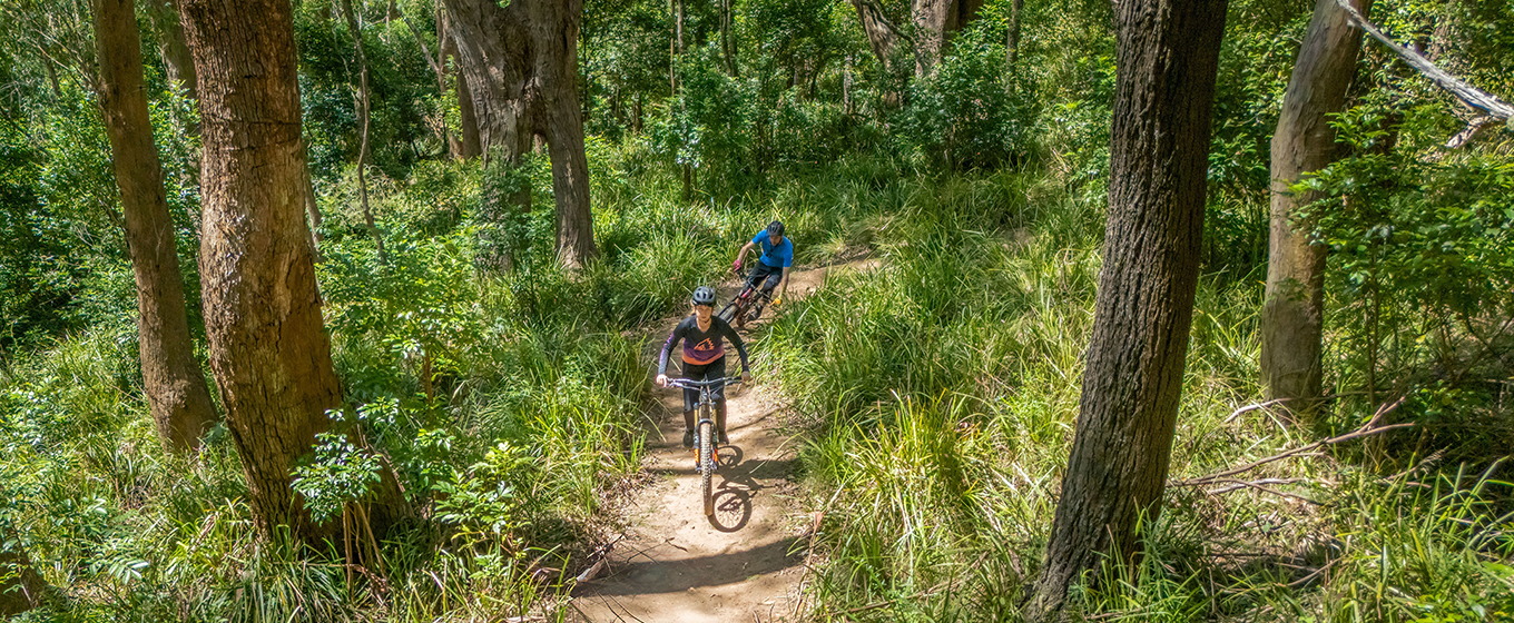 Two mountain bike riders on a dirt trail in tall forest on Mount Kembla. Credit: John Spencer &copy; DCCEEW