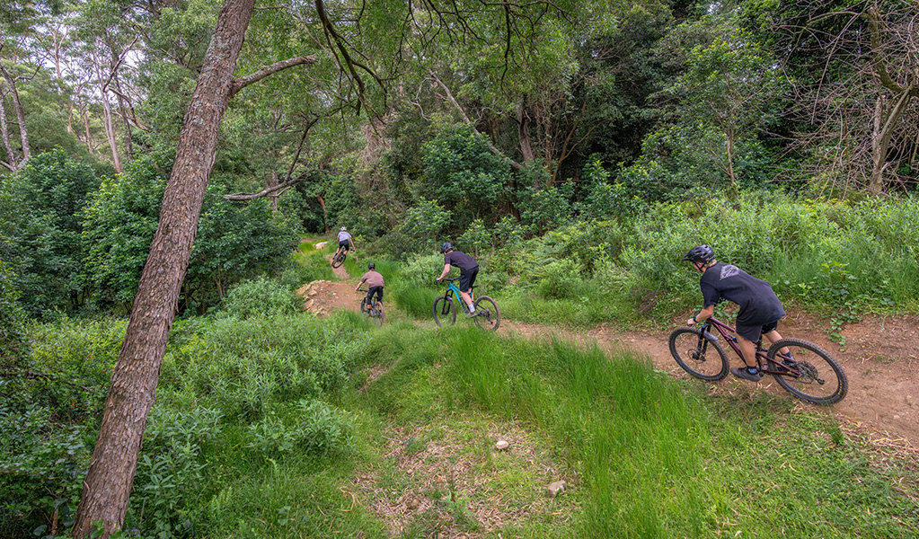4 mountain bike riders single file with a good distance between them. Credit: John Spencer &copy; DCCEEW