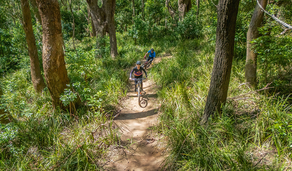 Two female mountain bikers peddle though beautiful bushland and tall forest on Mount Kembla. Credit: John Spencer &copy; DCCEEW