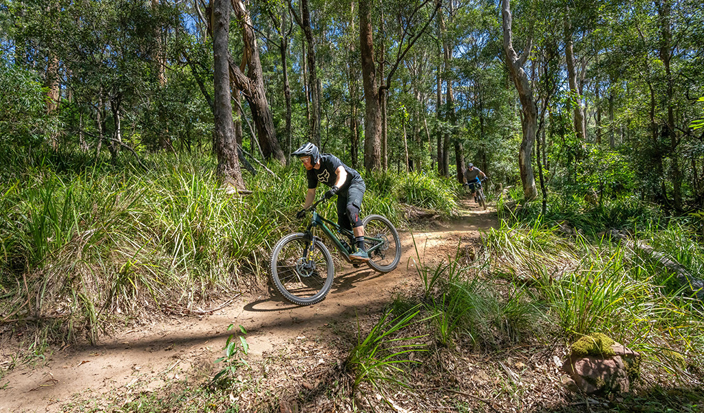A mountain bike rider in protective gear enjoys a fun descent on a dirt trail though beautiful bushland and tall forest on Mount Kembla. Credit: John Spencer &copy; DCCEEW