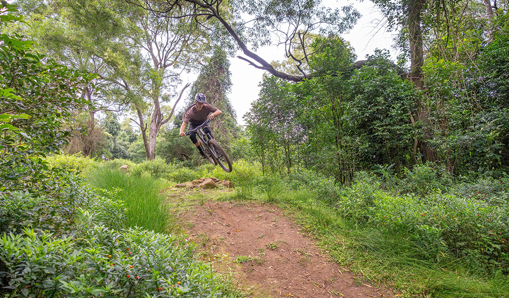 A lone rider gets some air off a jump on Kembla mountain bike trails. Credit: John Spencer &copy; DCCEEW