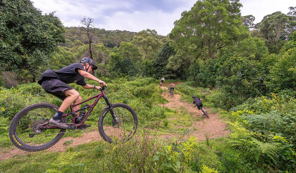Four male mountain bike riders spaced well apart enjoy a fast descent through winding trails in bushland on Mount Kembla. Credit: John Spencer &copy; DCCEEW