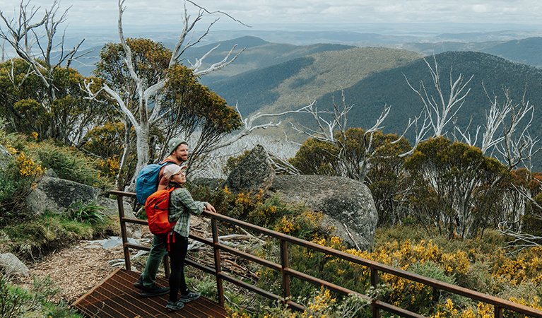 2 hikers looking out an explansive view of the Snowy Mountains surrounded by wildflowers on day 4 of Snowies Alpine Walk. Credit: Remy Brand / DCCEEW &copy; Caravel Content