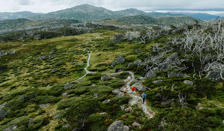 2 hikers on the winding track between Charlotte Pass Village and Perisher Valley in Kosciuszko National Park. Credit: Daniel Parsons / DCCEEW &copy; Caravel Content