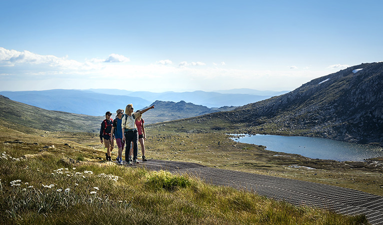 A group of hikers on a Snowies Alpine Walk multi day tour in Kosciuszko National Park. Credit: Thredbo Guided Adventures.