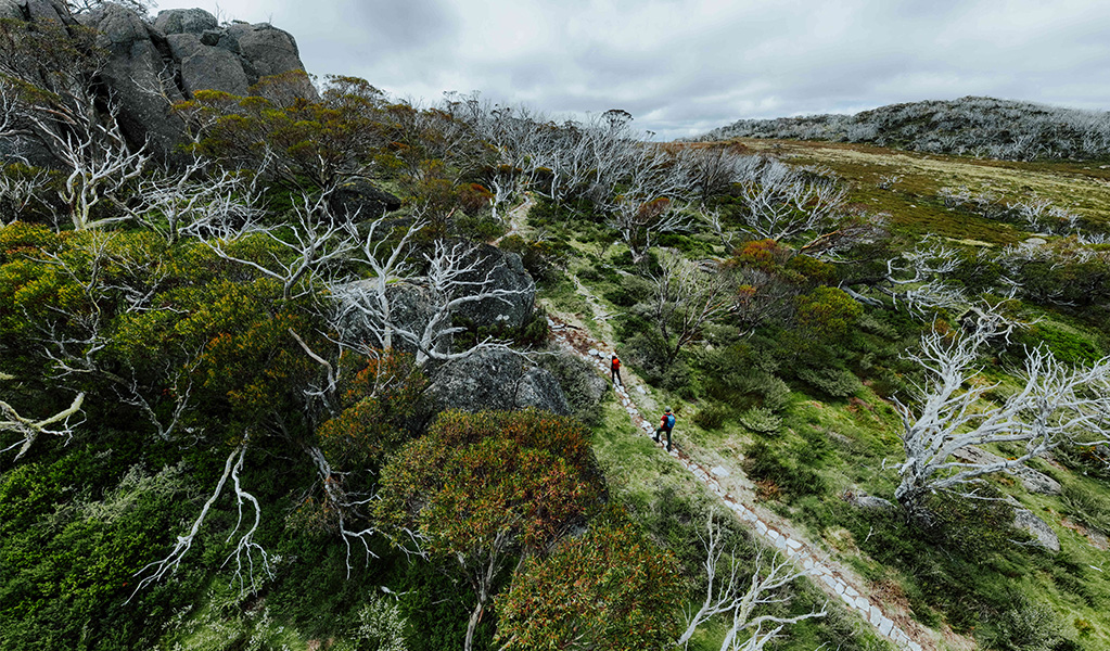 2 hikers walking to Bullocks Flat from Perisher Valley on Snowies Alpine Walk. Credit: Daniel Parsons / DCCEEW &copy; Caravel Content