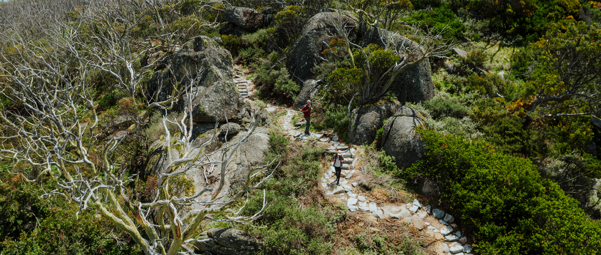 2 hikers on a winding trail of stepping stones along Snowies Alpine Walk surrounded by sub-alpine plants in Kosciuszko National Park. Credit: Daniel Parsons / DCCEEW &copy; Caravel Content