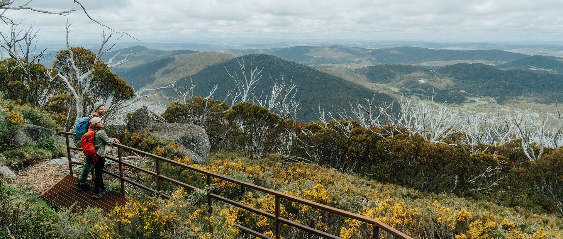 2 hikers looking out an explansive view of the Snowy Mountains surrounded by wildflowers on day 4 of Snowies Alpine Walk. Credit: Remy Brand / DCCEEW &copy; Caravel Content