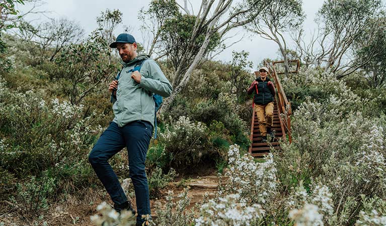 2 hikers surrounded by wildflowers walking from Guthega to Charlotte Pass on Snowies Alpine Walk. Credit: Remy Brand  / DCCEEW &copy; Caravel Content