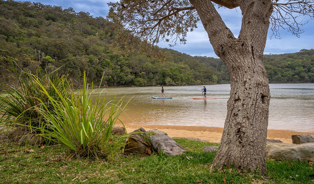 2 people paddleboarding in The Basin lagoon surrounded by the bush in Ku-ring-gai Chase National Park. Credit: John Spencer/DCCEEW  &copy; DCCEEW