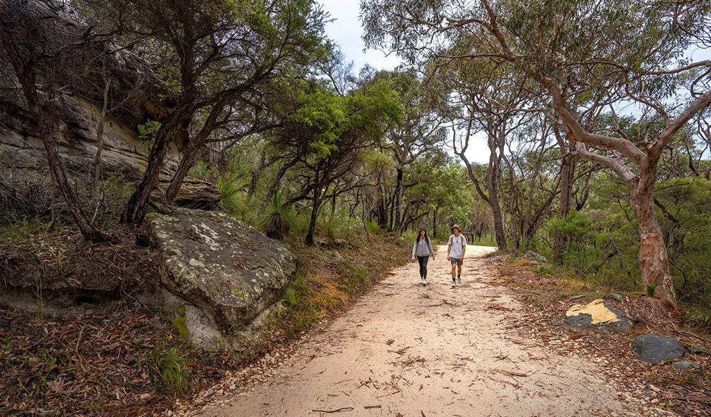 2 people bushwalking on The Basin track, Ku-ring-gai Chase National Park. Credit: John Spencer/DCCEEW  &copy; DCCEEW