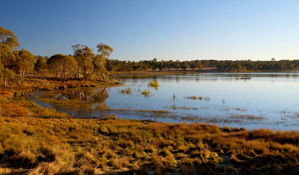 The Ramsar-listed Little Llangothlin Lagoon in Little Llangothlin Nature Reserve. Credit: Shane Ruming / DCCEEW &copy; Shane Ruming