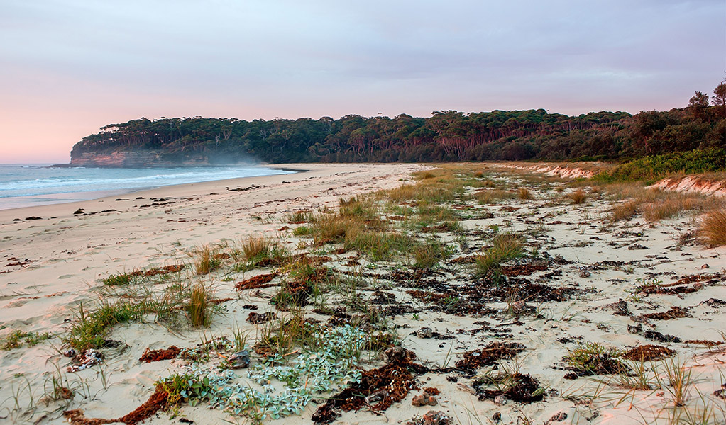 Sunrise at Termeil Beach, Meroo National Park. Credit: Michael Van Ewijk &copy; DCCEEW
