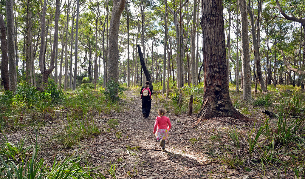 A family walking on Meroo Head lookout walking track. Credit: Michael Van Ewijk &copy; DCCEEW