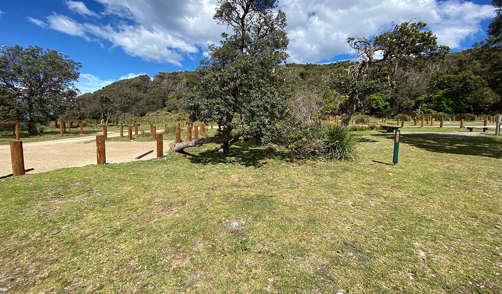 Campsite 10 at Picnic Point campground. Credit: &copy; DCCEEW