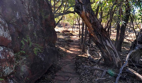 Art site walk, Mount Grenfell Historic Site. Photo: NSW Government