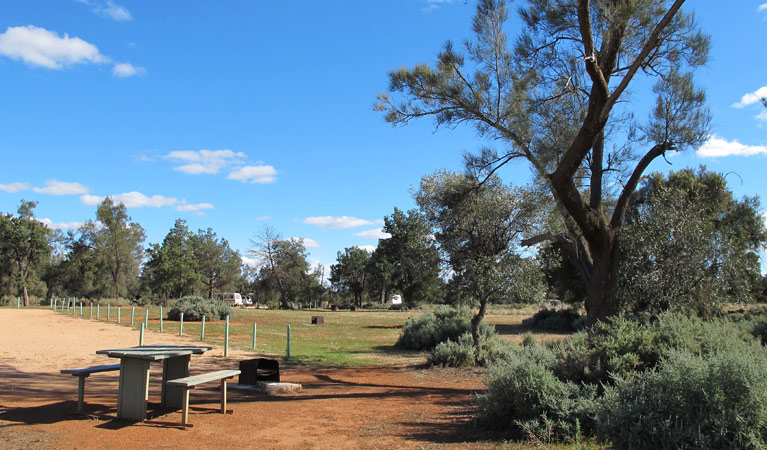 Main Camp campground, Mungo National Park. Photo: Wendy Hills/NSW Government