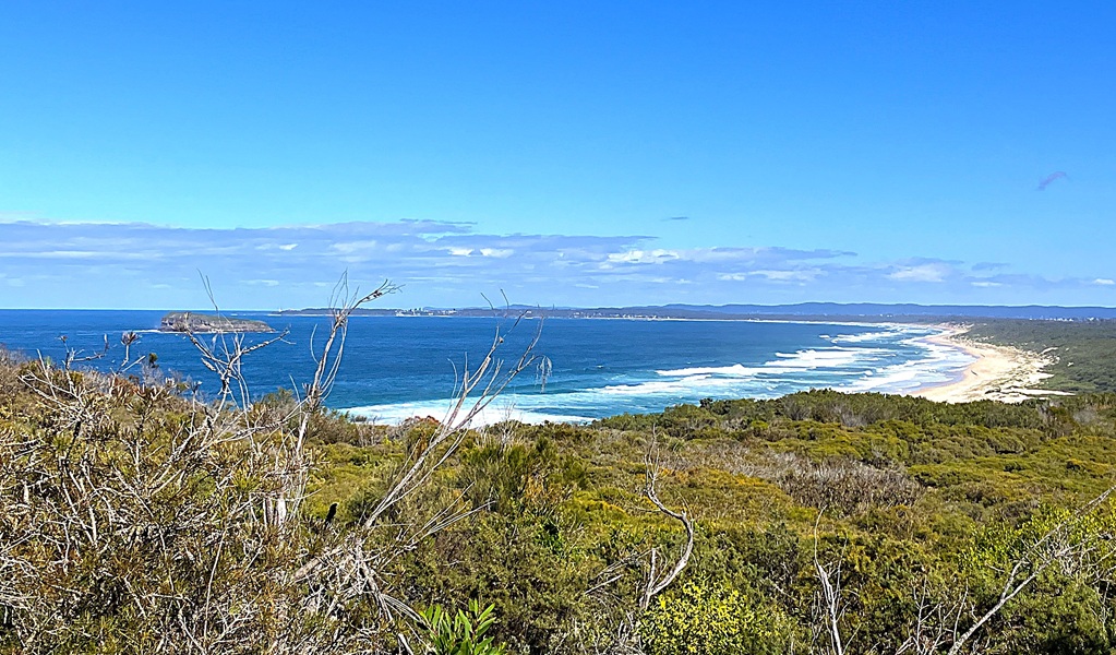 When you emerge out onto rock platforms and coastal heathland pause to revel in the sweeping ocean views, Geebung walking track, Munmorah State Conservation Area. Photo: Stacy Wilson/DCCEEW &copy; DCCEEW