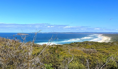 When you emerge out onto rock platforms and coastal heathland pause to revel in the sweeping ocean views, Geebung walking track, Munmorah State Conservation Area. Photo: Stacy Wilson/DCCEEW &copy; DCCEEW