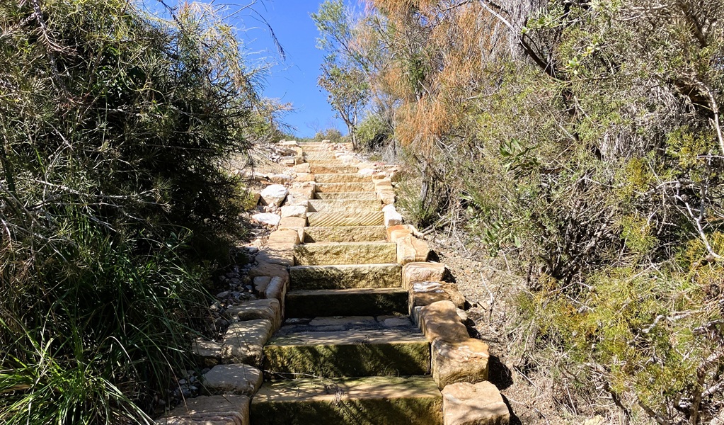 There are a few sections with steps to navigate along Geebung walking track, Munmorah State Conservation Area. Photo: Stacy Wilson/DCCEEW &copy; DCCEEW