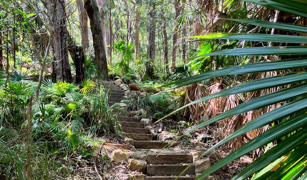 Stone steps along Palms loop track in Munmorah State Conservation area. Credit: Josh Ford &copy; DCCEEW