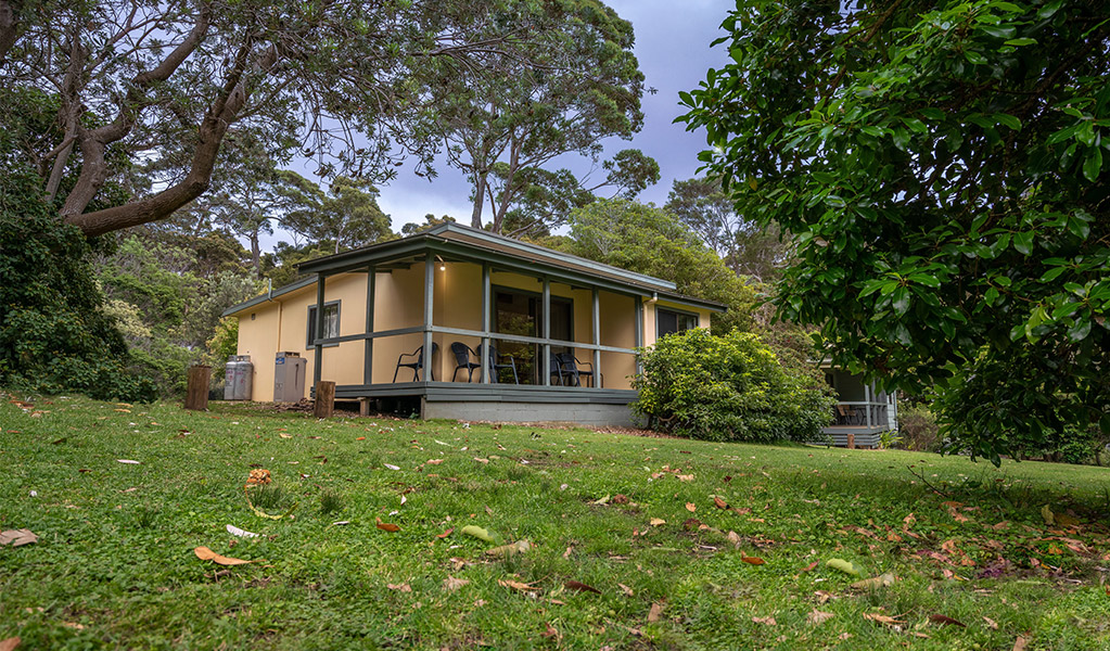 Exterior of one of the Depot Beach cabins, surrounded by trees in Murramarang National Park. Photo: John Spencer &copy; DPIE