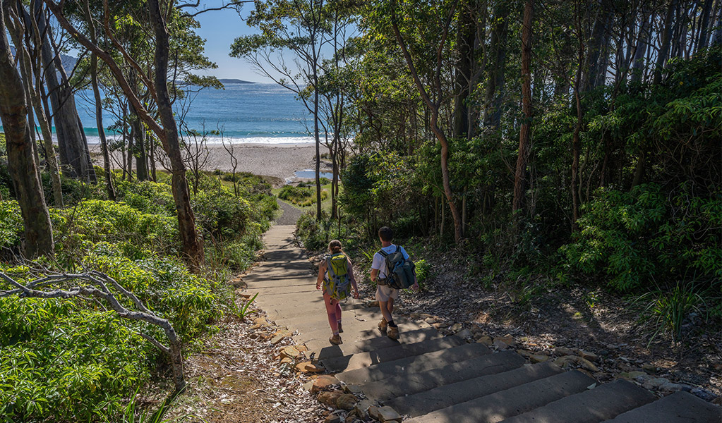Visitors walking down the path to Depot Beach. Photo: John Spencer &copy; DCCEEW