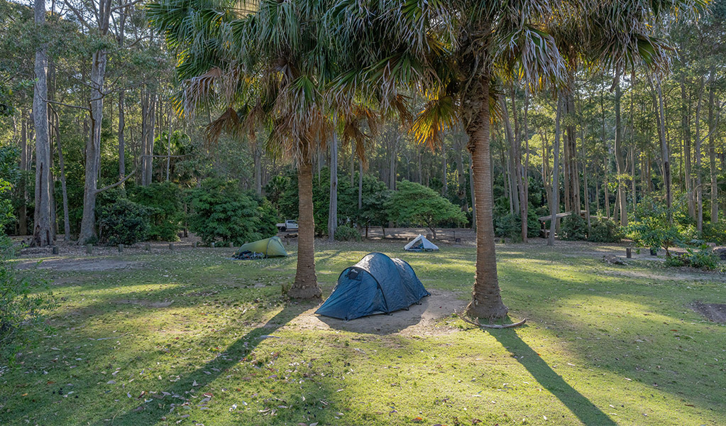 Tent sites at Depot Beach campground. Credit: John Spencer &copy; DCCEEW