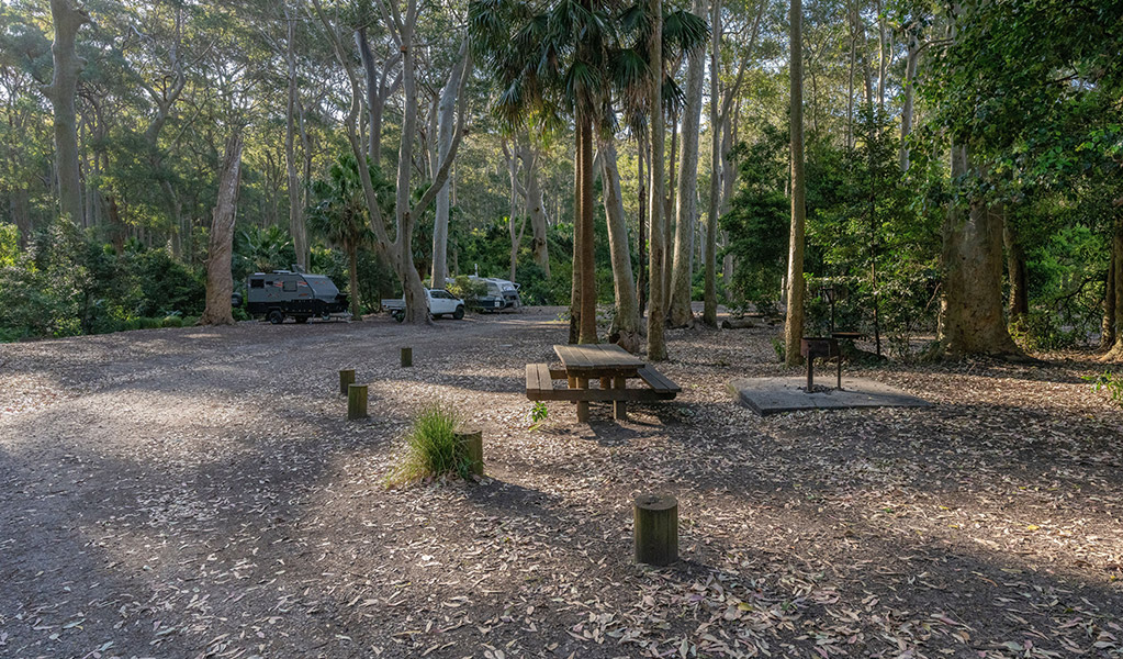 Campsites at Depot Beach campground. Credit: John Spencer &copy; DCCEEW
