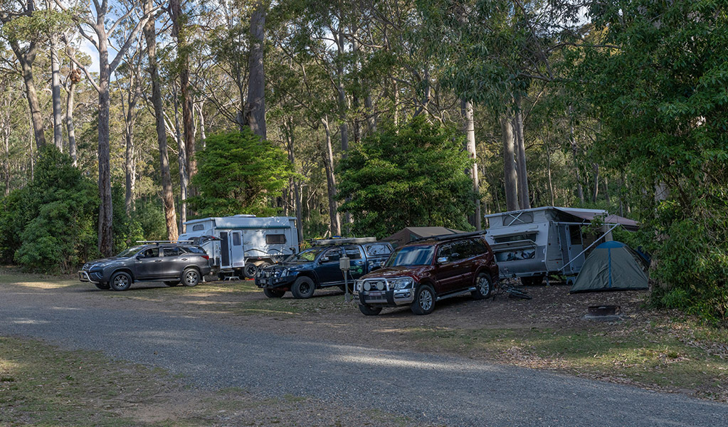 Camper trailers at Depot Beach campground. Credit: John Spencer &copy; DCCEEW