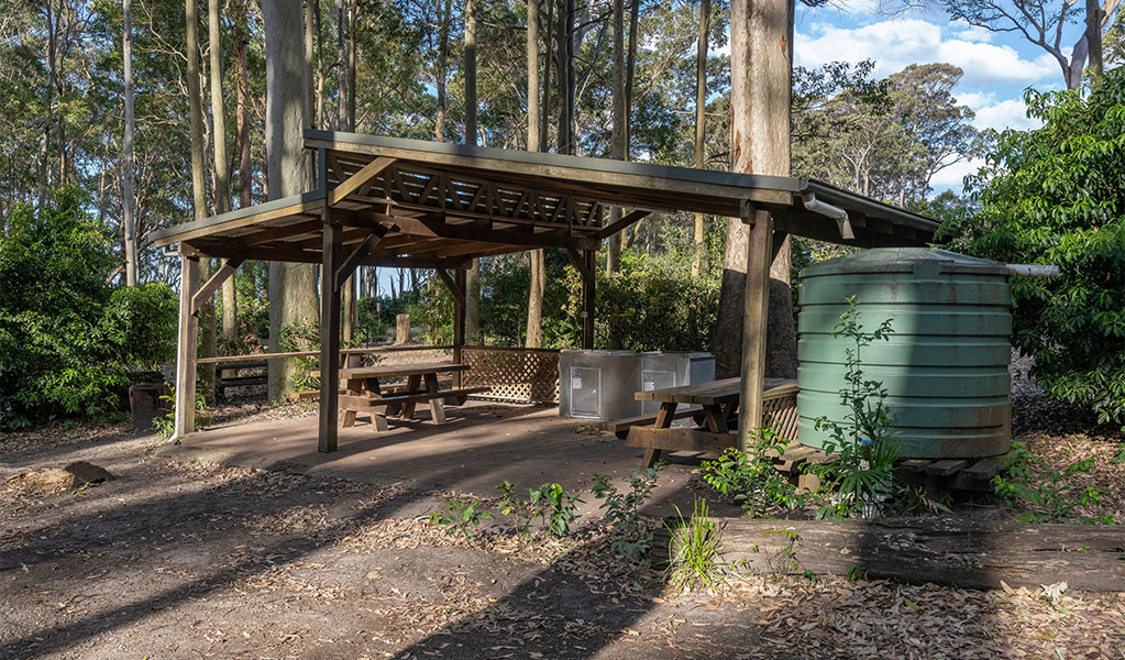 Covered picnic shelters with barbecues at Depot Beach campground. Credit: John Spencer &copy; DCCEEW