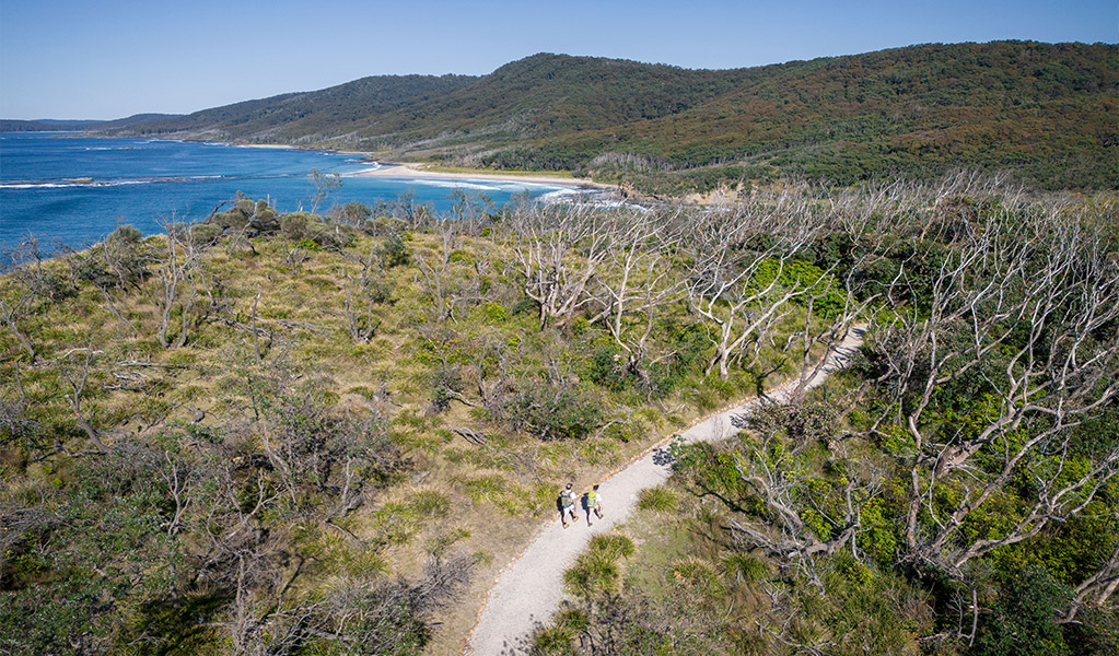 Aerial view of walkers on Snapper Point walking track. Credit: John Spencer &copy; DCCEEW