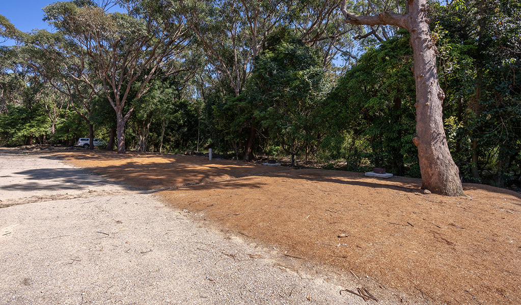 Campsites at Pretty Beach campground. Credit: John Spencer &copy; DCCEEW