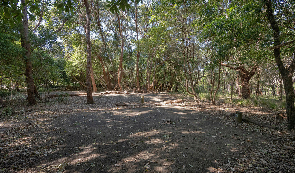 Campsites at Pretty Beach campground. Credit: John Spencer &copy; DCCEEW