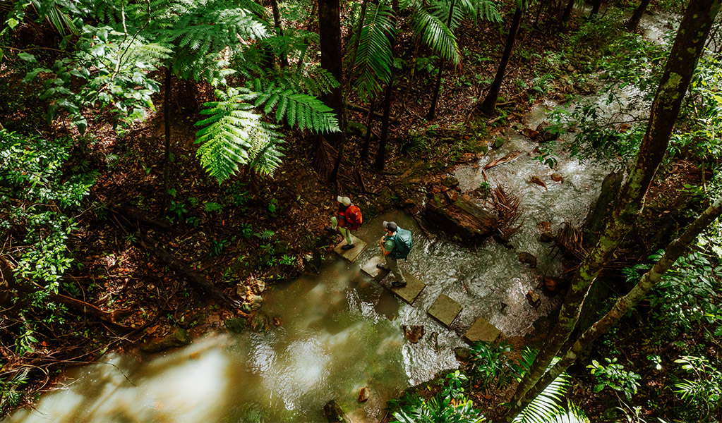 Aerial view of walkers crossing the creek near Unicorn Falls. Credit: Daniel Parsons/DCCEEW &copy; Daniel Parsons