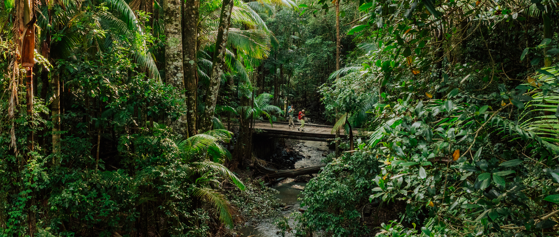 Walkers crossing a small bridge on Gidjuum Gulganyi Walk in Mount Jerusalem National Park. Credit: Daniel Parsons/DCCEEW &copy; Daniel Parsons