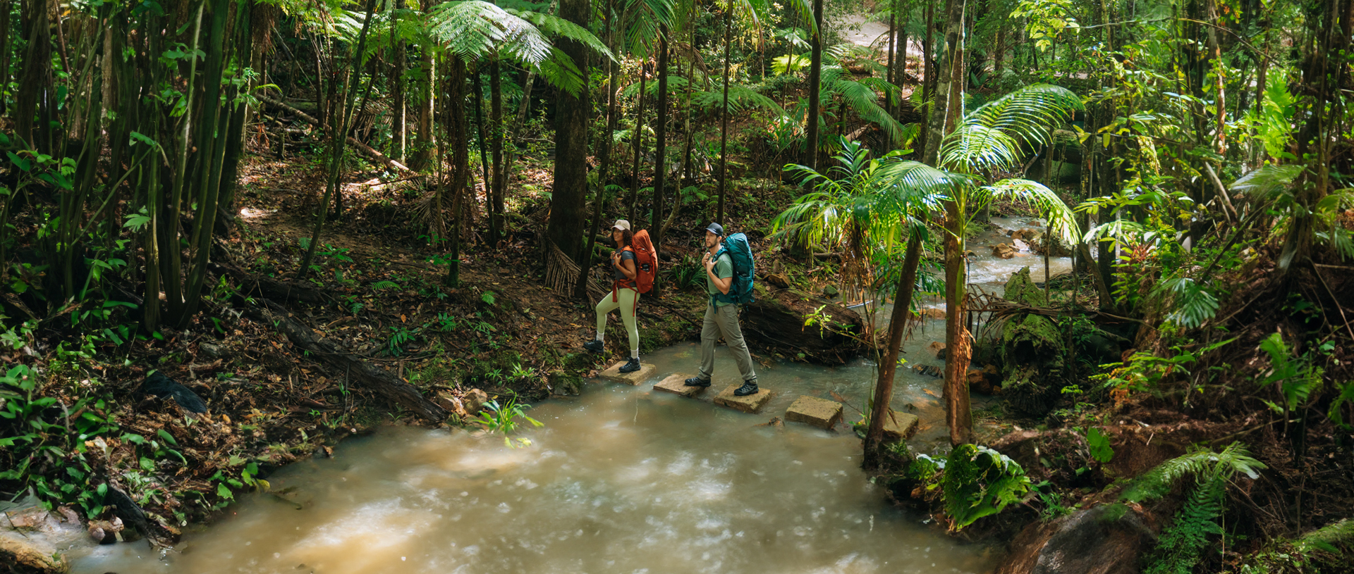Walkers crossing the creek on stepping stones near Unicorn Falls. Credit: Remy Brand/DCCEEW &copy; Remy Brand