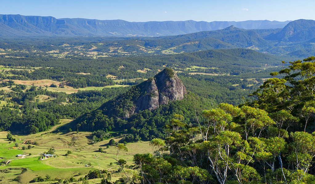 Doughboy and Wollumbin Caldera. Dean Trezise/DCCEEW &copy; Dean Trezise