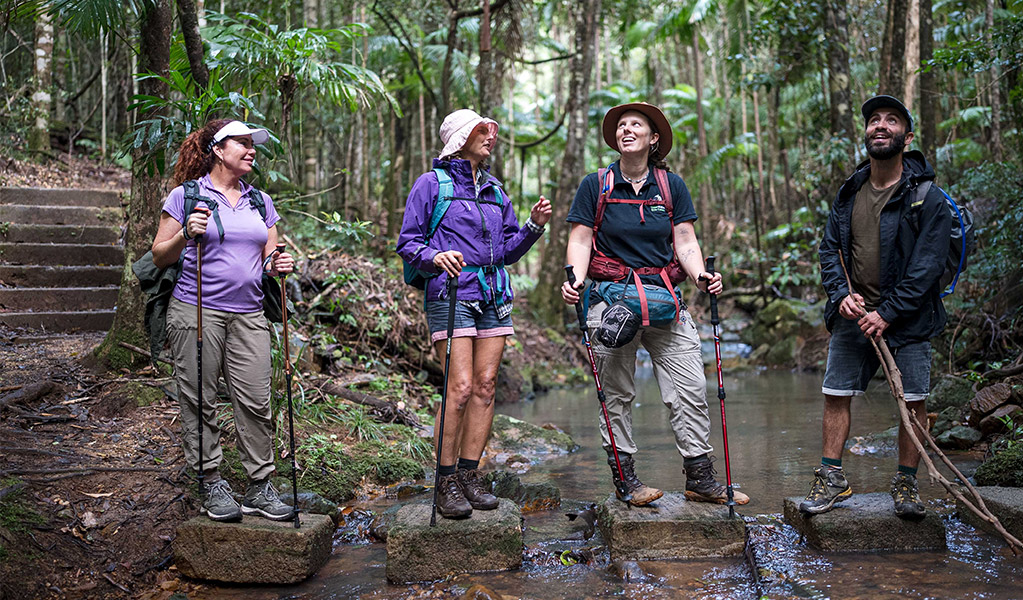 Walkers on a guided tour. Credit: Vision Walks Eco Tours