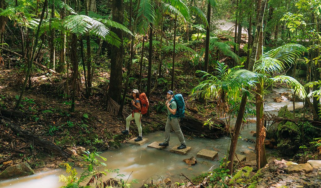Walkers crossing the creek on stepping stones near Unicorn Falls in Mount Jerusalem National Park. Credit: Remy Brand/DCCEEW &copy; Remy Brand