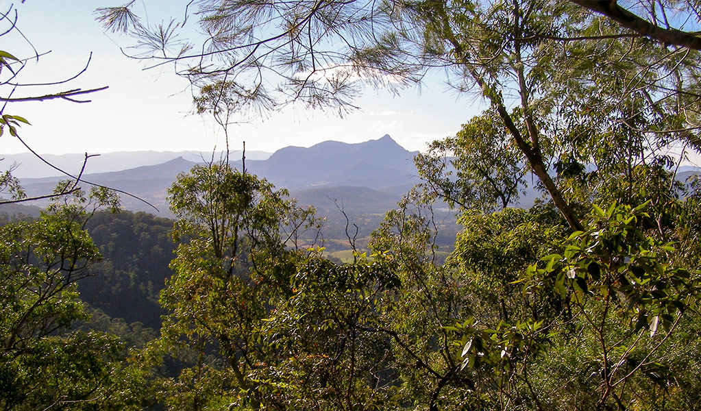 Mountain views on day 2 of Gidjuum Gulganyi Walk. Credit: Brian McLachlan &copy; DCCEEW