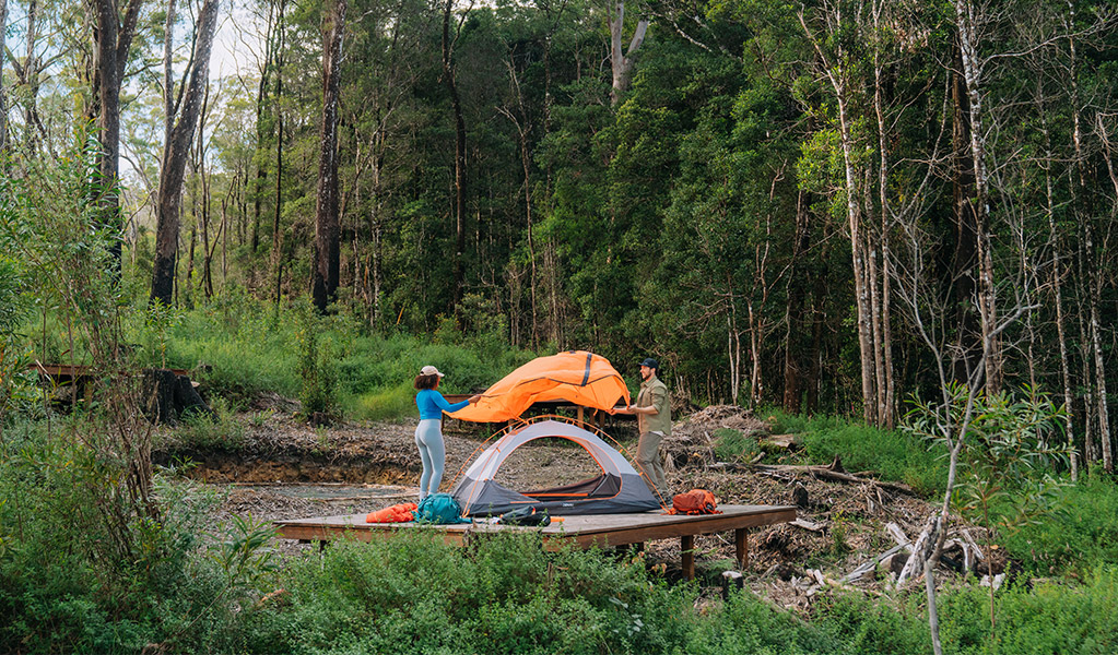 Walkers setting up their tent on the hardwood platform at Yelgun Kyoomgun campground. Credit: Remy Brand/DCCEEW &copy; Remy Brand