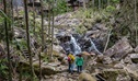 Walkers pause to admire a small waterfall, Protestors Falls walking track, Nightcap National Park. Photo: John Spencer/DCCEEW