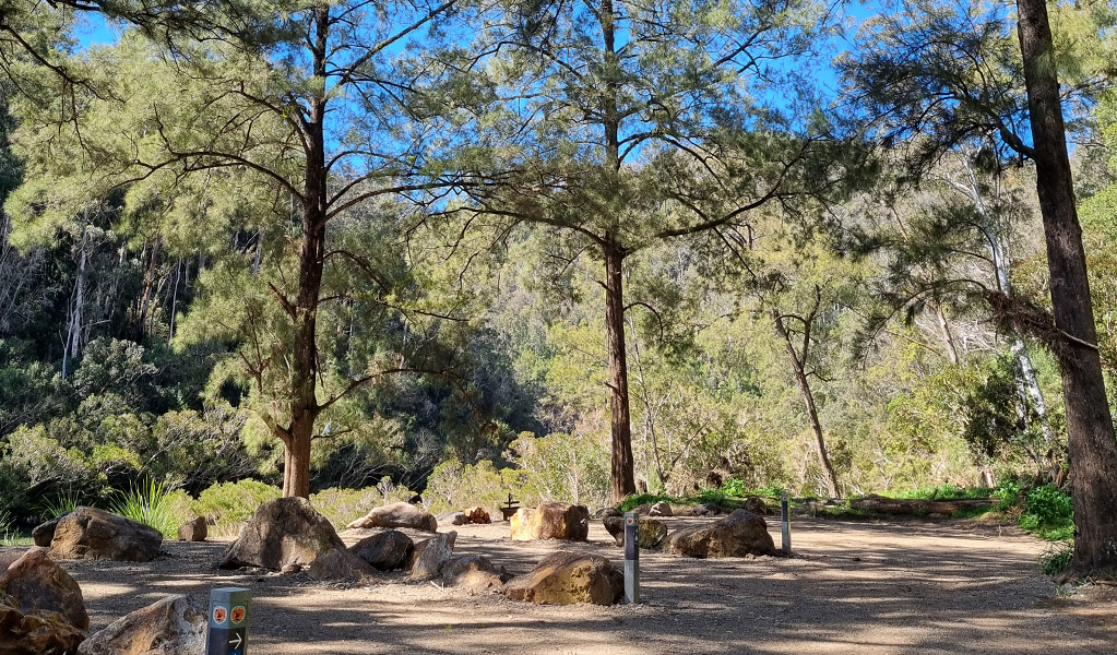Campsites at Cod Hole campground and picnic area shaded by surrounding trees at Nymboi-Binderay National Park. Credit: Kit King &copy; DCCEEW